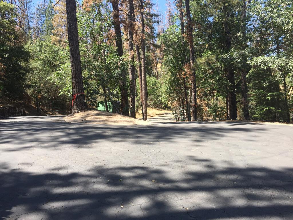 Yosemite Bass Lake Dream Cottage Екстериор снимка